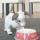 Ya le puedes dar de comer a Aibo, el perro robótico de Sony.